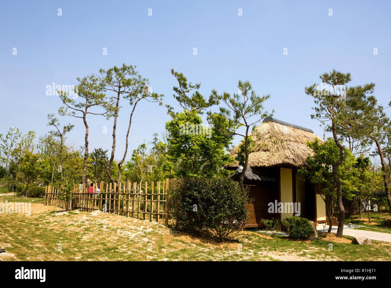 La baie de Suncheon Suncheon dans le jardin national-si, Jeollanam-do, Province de la Corée du Sud. Banque D'Images