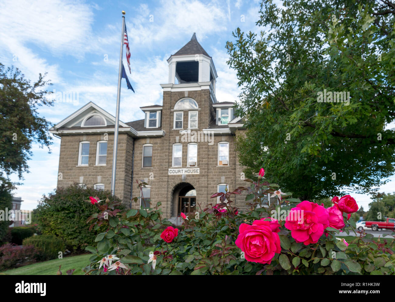 Rosiers en fleurs en face de la Wallowa County Courthouse, Oregon. Banque D'Images