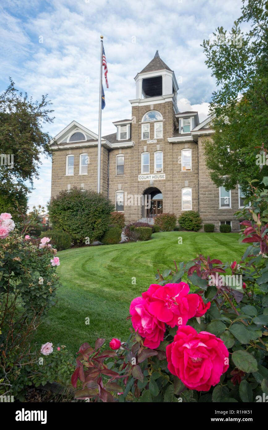 Rosiers en fleurs en face de la Wallowa County Courthouse, Oregon. Banque D'Images