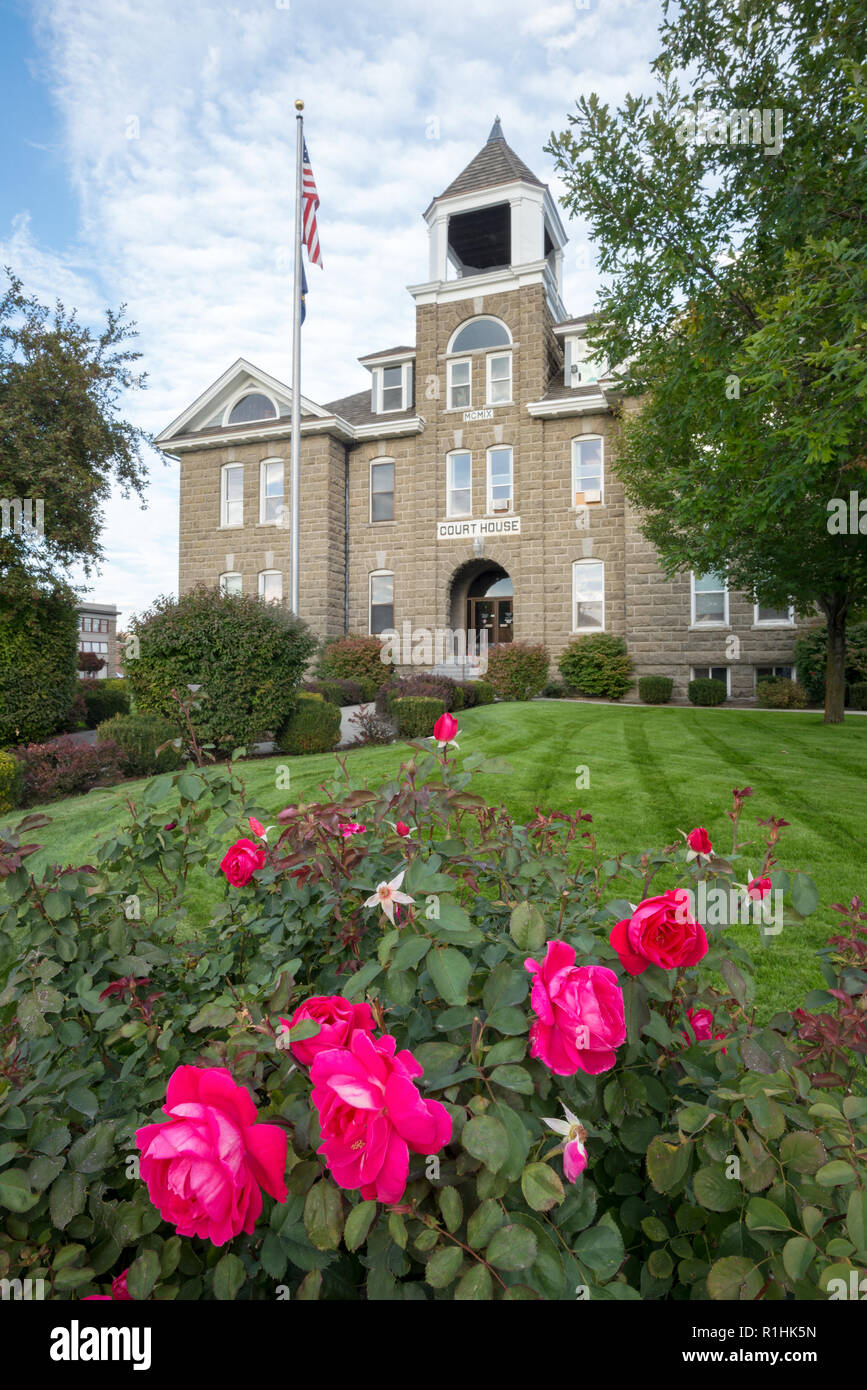 Rosiers en fleurs en face de la Wallowa County Courthouse, Oregon. Banque D'Images