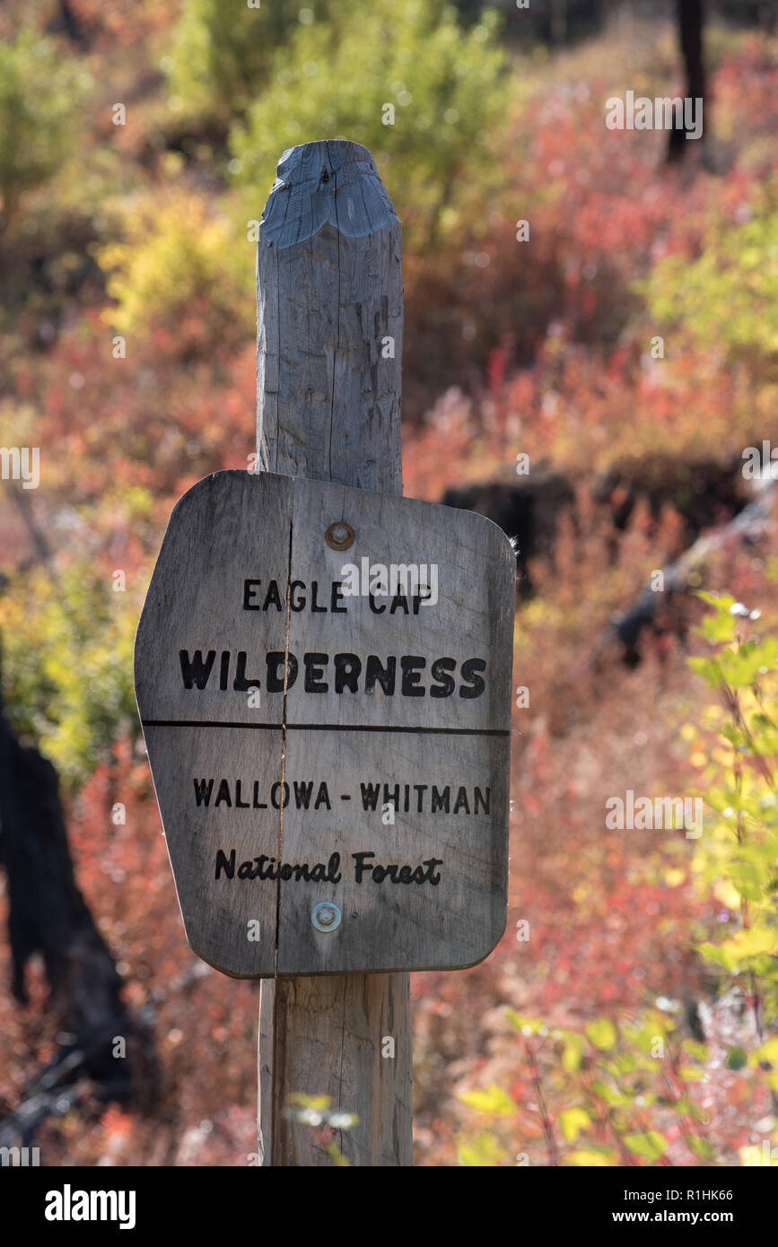 Eagle Cap DÉSERT signe, Wallowa - Whitman, forêt nationale de l'Oregon. Banque D'Images