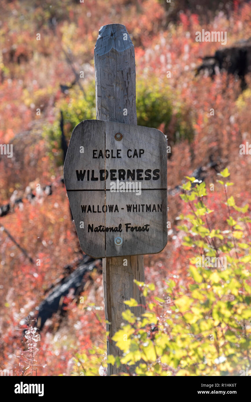 Eagle Cap DÉSERT signe, Wallowa - Whitman, forêt nationale de l'Oregon. Banque D'Images
