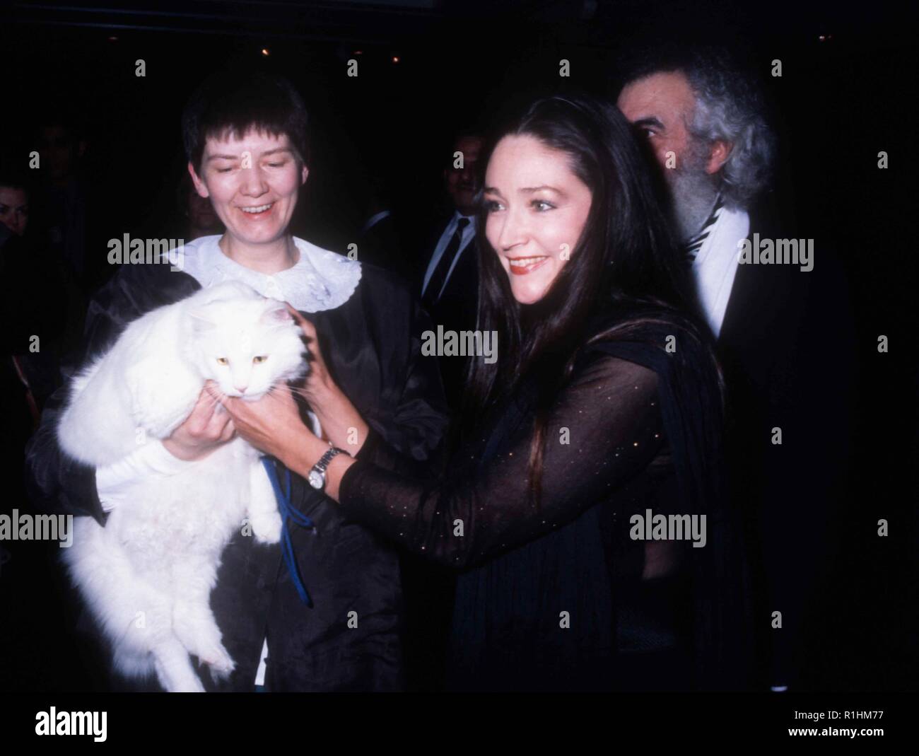 Los Angeles, CA - le 21 décembre : L'actrice Olivia Hussey assiste à la 'Shakespeare - Les Contes animés : Romeo et Juliette' Los Angeles Premiere le 21 décembre 1992, à Samuel Goldwyn Theatre de Los Angeles, Californie. Photo de Barry King/Alamy Stock Photo Banque D'Images