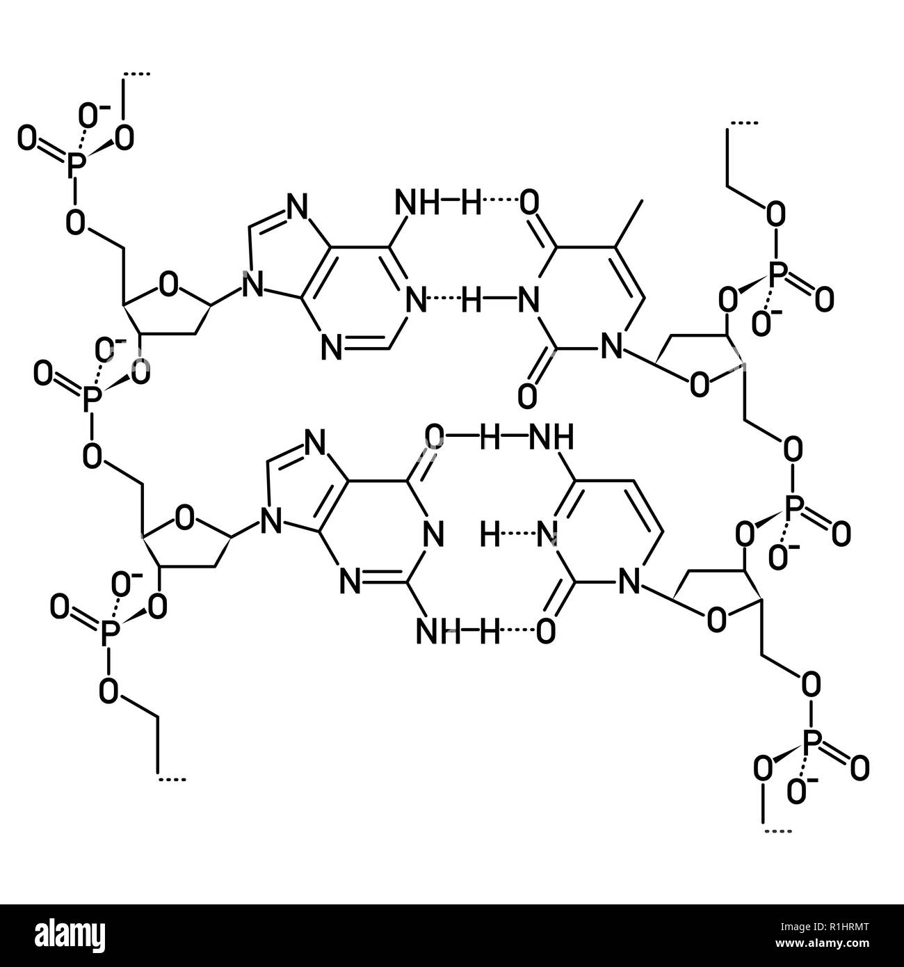 La structure d'ADN Illustration de Vecteur