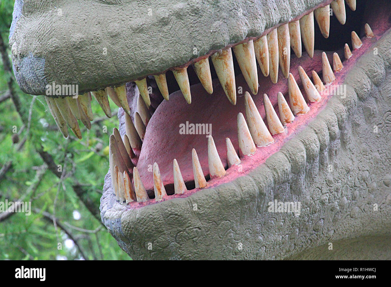 Les DINOSAURES - reptiles éteints Banque D'Images