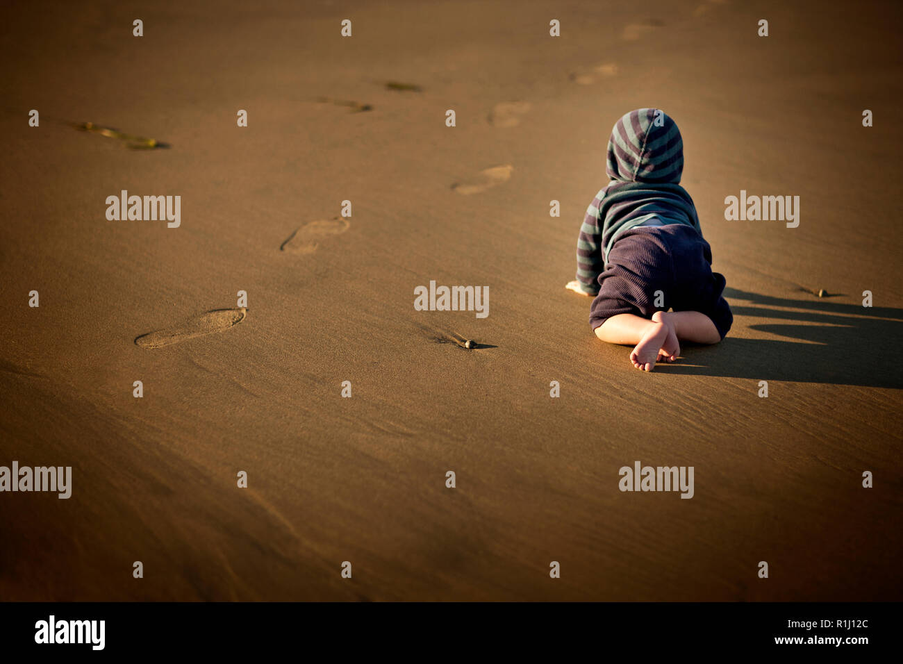 Bebe Rampe A Travers Le Sable Humide Et Jette Une Ombre Photo Stock Alamy Bebe Rampe A Travers Le Sable Humide Et Jette Une Ombre Photo Stock Alamy