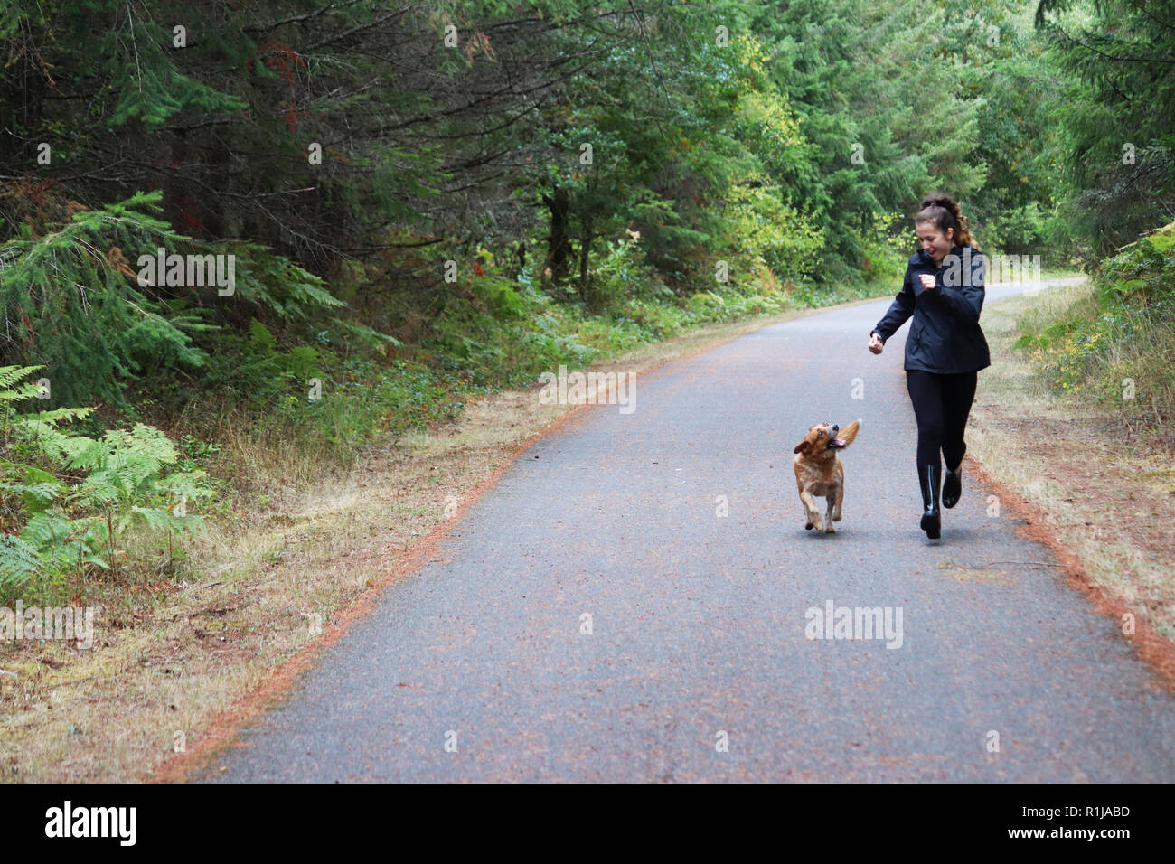 Jeune femme en promenade avec son chien Banque D'Images