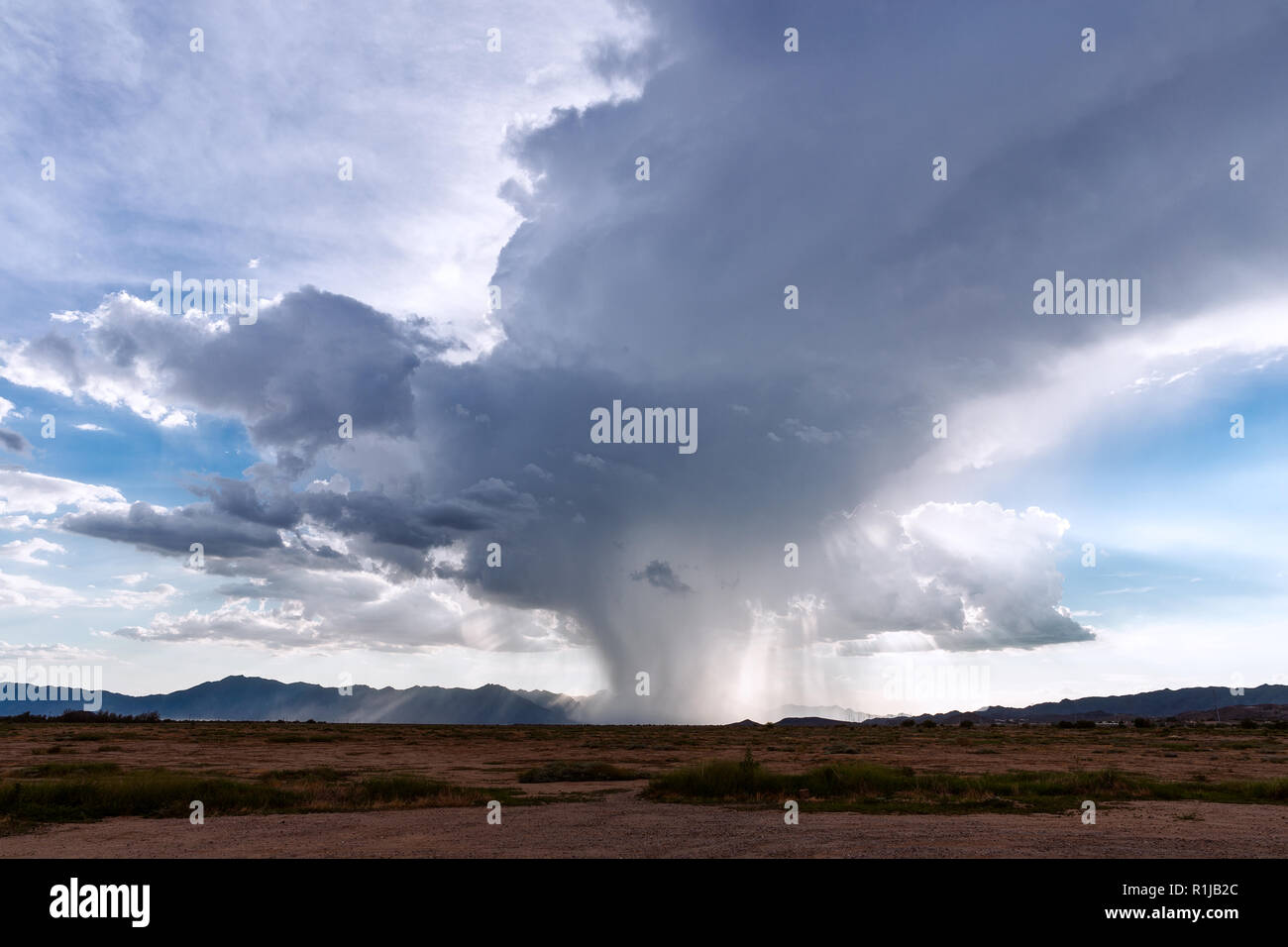 Pluie tombant d'un orage de la mousson cumulonimbus nuage en Arizona Banque D'Images