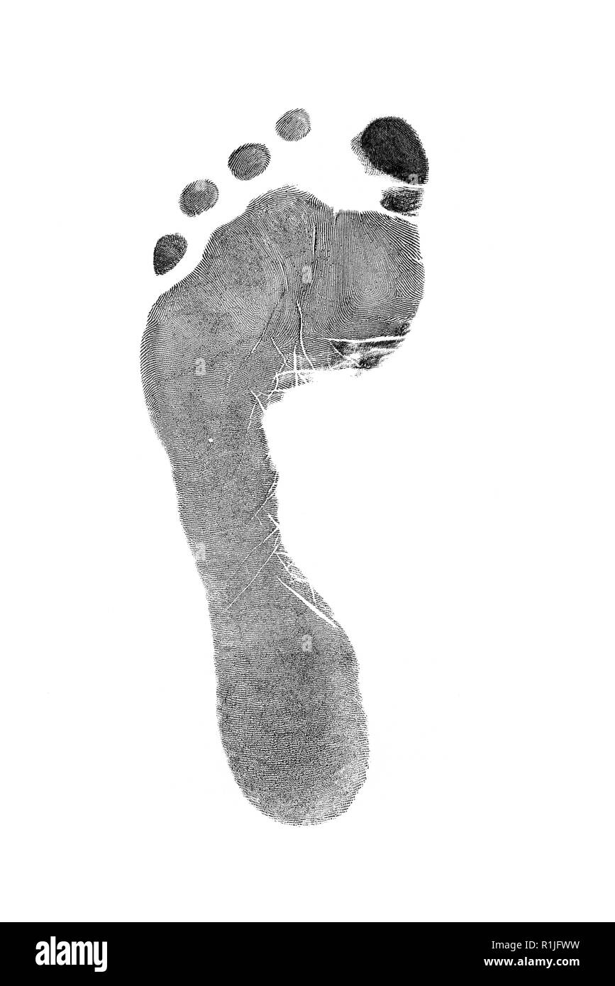 Pieds de noir imprime sur du papier transparent. Empreinte noir. Isolé sur blanc. Banque D'Images
