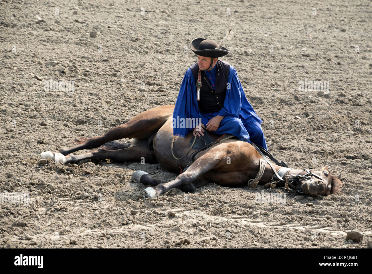 Spectacle équestre dans la région de Hongrie Puszta Banque D'Images