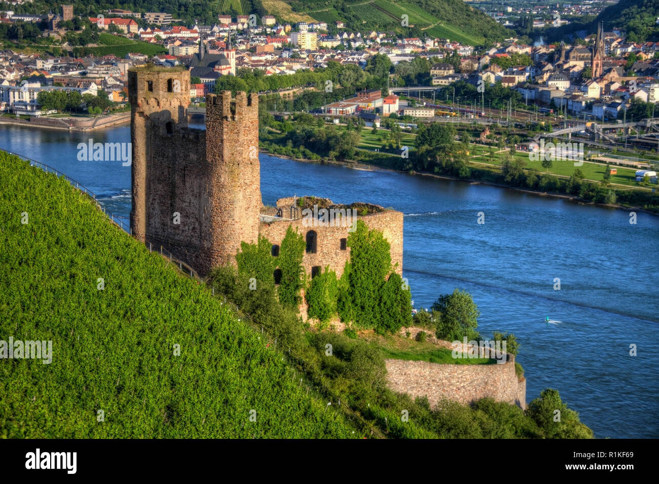 Le Château d'Ehrenfels, Ehrenfels Burg sur le Rhin près de Ruedesheim et Bingen am Rhein, Hessen, Allemagne. Banque D'Images