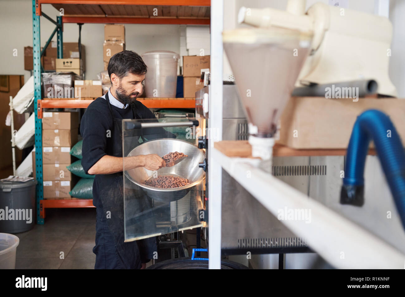 Fabricant de chocolat fèves de cacao en plaçant la machine de torréfaction Banque D'Images