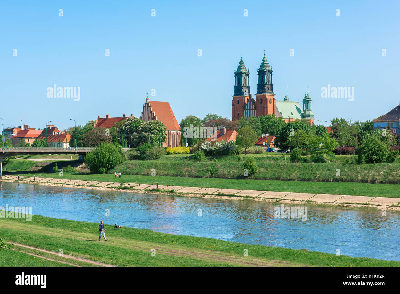 L'île de la cathédrale de Poznan, vue sur l'horizon de l'île de la cathédrale (Ostrow Tumski) avec la rivière Warta au premier plan, Poznan, Pologne. Banque D'Images
