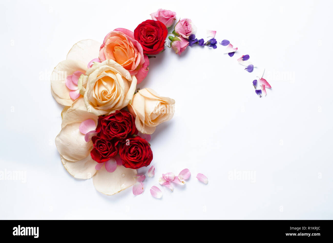 Vivre Roses Cadre Beau Floral Background Modele De Carte De Vacances Ou Mariage Avec Espace De Creation Pour Le Texte Photo Stock Alamy Vivre Roses Cadre Beau Floral Background Modele De Carte De Vacances Ou Mariage Avec Espace De Creation Pour Le Texte Photo Stock Alamy