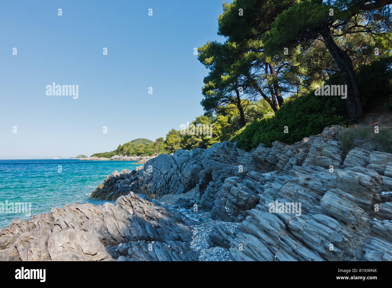 Pins sur un dessus de l'eau turquoise cristalline près de Panormos bay à l'île de Skopelos, Grèce Banque D'Images