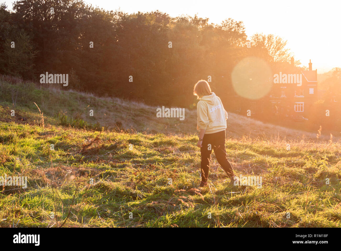 Adolescent marchant dans les bois urbains, silhoueté et rétroéclairé par le soleil d'automne, Hampstead, Londres, Royaume-Uni Banque D'Images