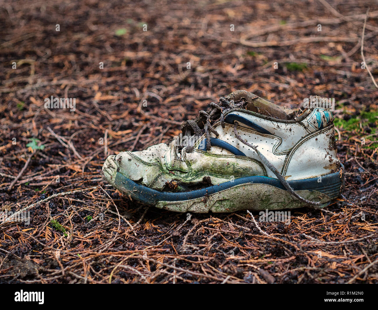 Abandonded kid's sneaker à woodland Banque D'Images