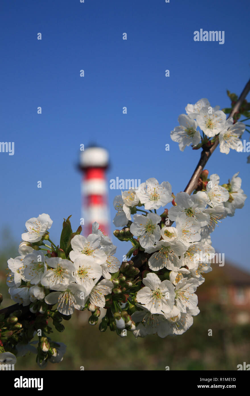 Ancien phare à Elbe dans Gruenendeich, Altes Land, Basse-Saxe, Allemagne, Europe Banque D'Images