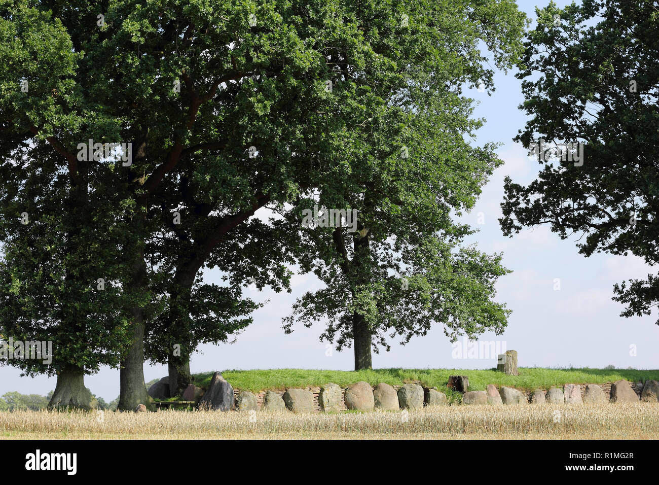 Tumulus de Karlsminde reconstruit dans le Nord de l'Allemagne Banque D'Images