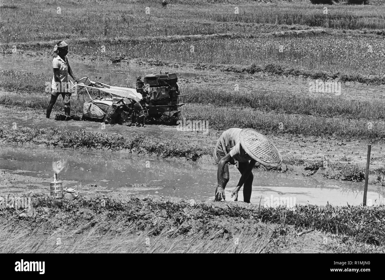 Rotavator en usage sur côté indien de la frontière, Sylhet 1980 Banque D'Images