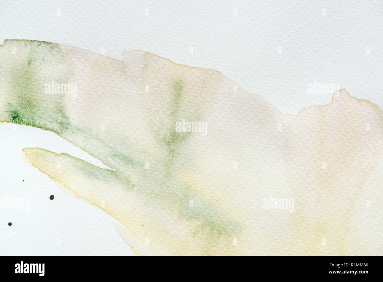 Résumé de l'aquarelle verte et jaune sur fond blanc Banque D'Images