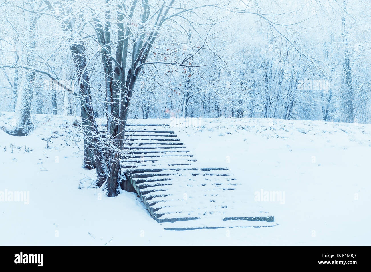 Paysage D Hiver Dans Le Froid Glacial De L Hiver Les Arbres Et Les Vieux Escaliers En Pierre Dans Le Parc D Hiver De Neige Dans Le Cadre De Jour Nuageux Photo Stock Paysage D Hiver Dans Le Froid Glacial De L Hiver Les Arbres Et Les Vieux Escaliers En Pierre Dans Le Parc D Hiver De Neige Dans Le Cadre De Jour Nuageux Photo Stock