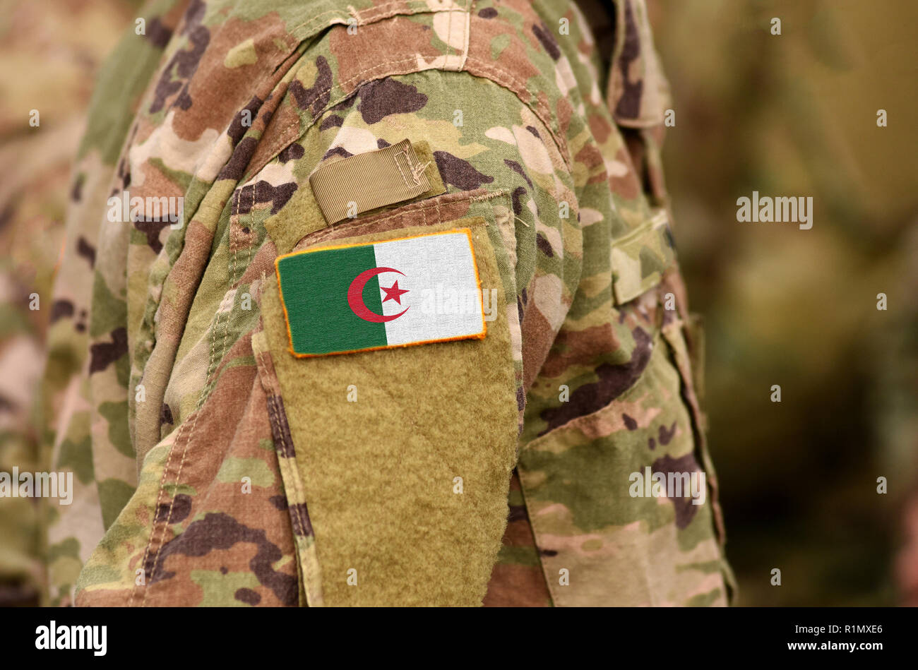 L'Algérie drapeau sur le bras de soldats. République algérienne démocratique et troupes (collage) Banque D'Images L'Algérie drapeau sur le bras de soldats. République algérienne démocratique et troupes (collage) Banque D'Images