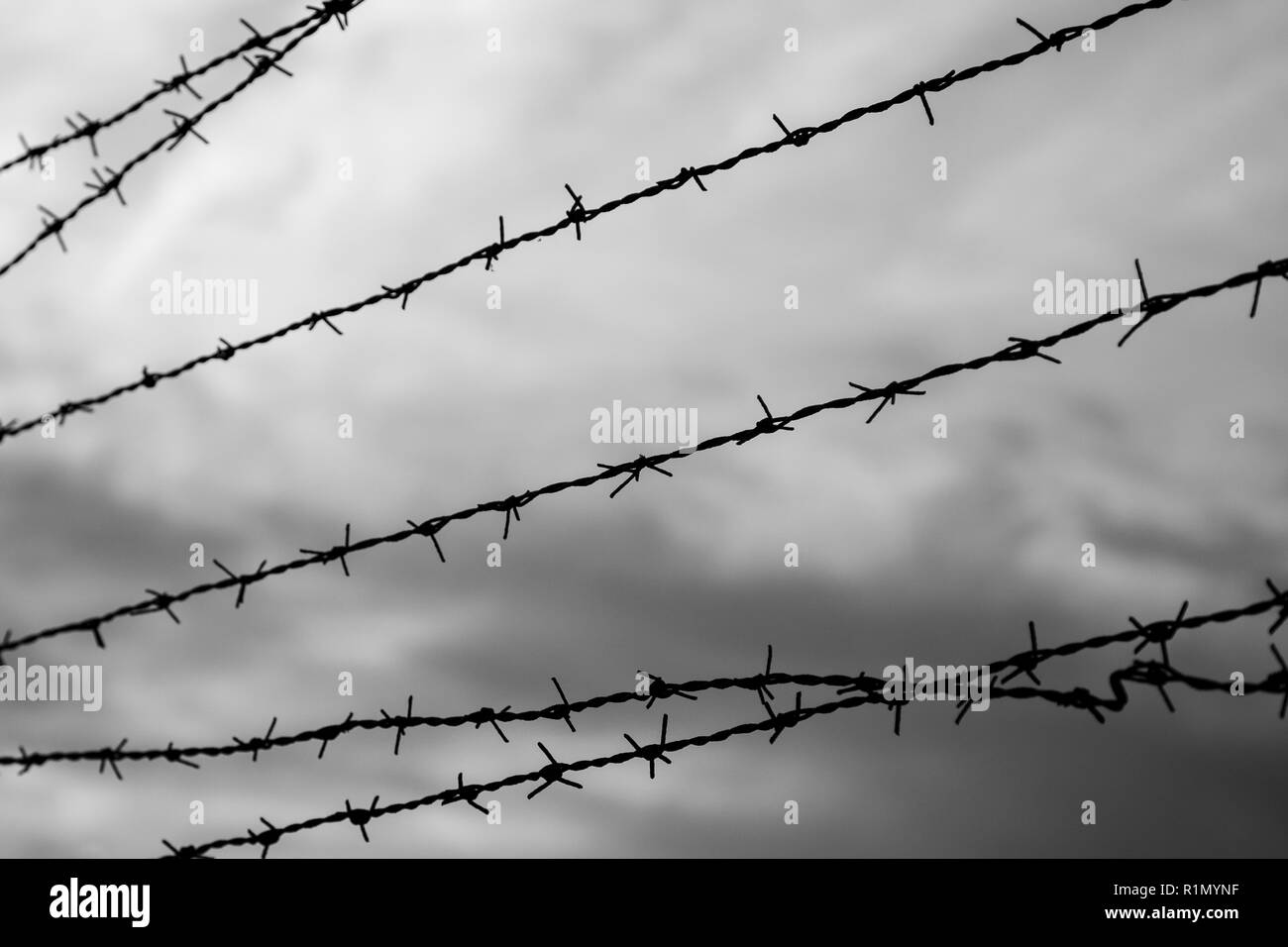 Silhouette de barbelés contre blurry ciel nuageux dans la soirée en noir et blanc. L'accent sur l'avant-plan. Banque D'Images