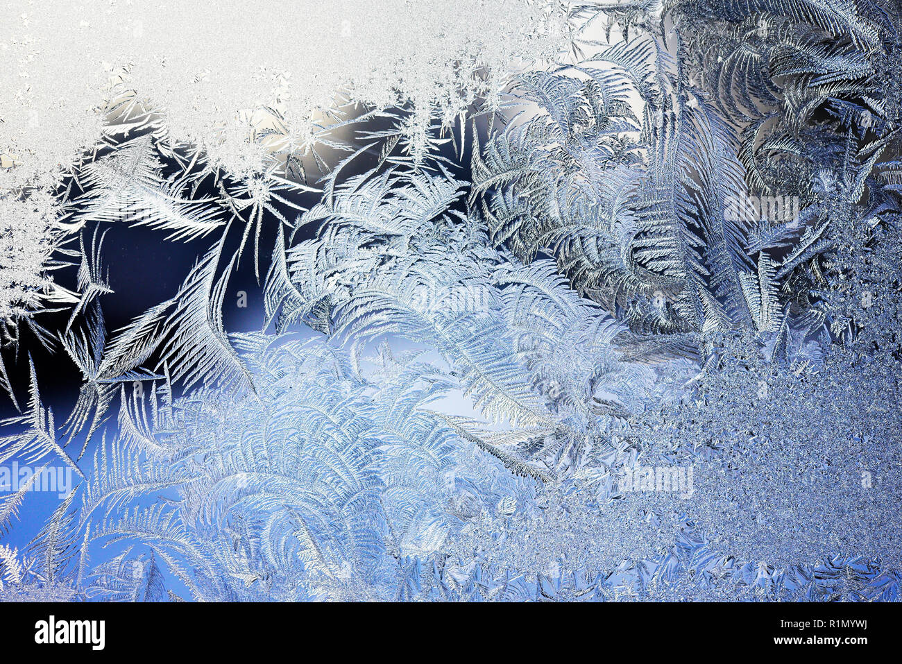 Fond d'hiver, le givre sur la fenêtre Banque D'Images