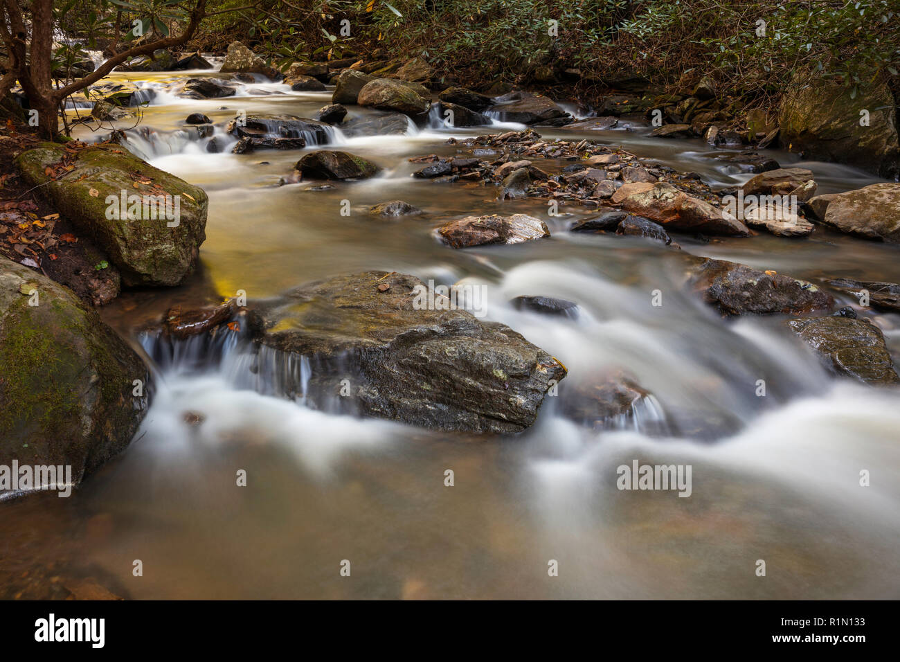 Colt Creek, Pearson's Falls, Saluda, Polk County, Caroline du Nord. Banque D'Images