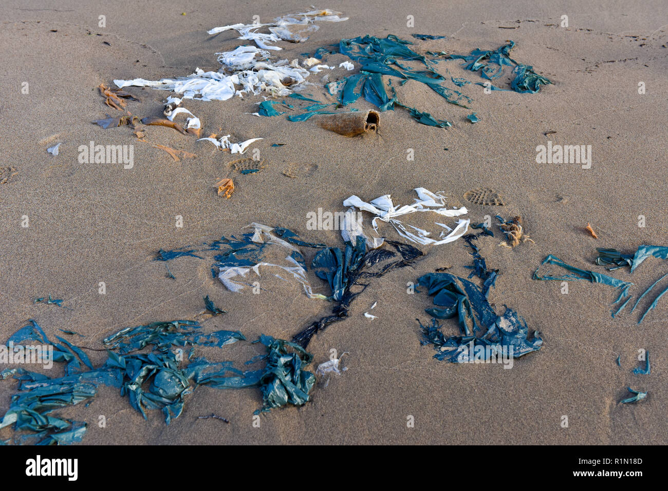 Déchets sur une plage , dans le Nord du Québec Banque D'Images