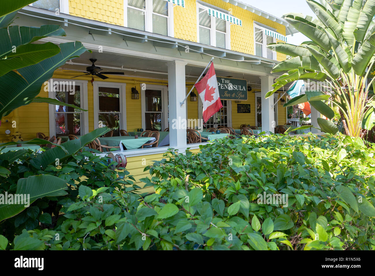 Gulfport, Florida, USA., le mardi 30.10.18, milieu de semaine, Marché, artisanat, la nourriture, les légumes, © Peter Spurrier Banque D'Images