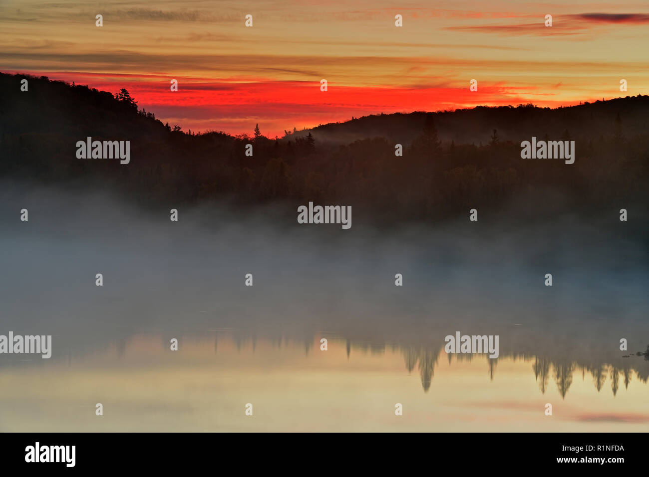 Lac Kenny à l'aube, le parc provincial du lac Supérieur, en Ontario, Canada Banque D'Images