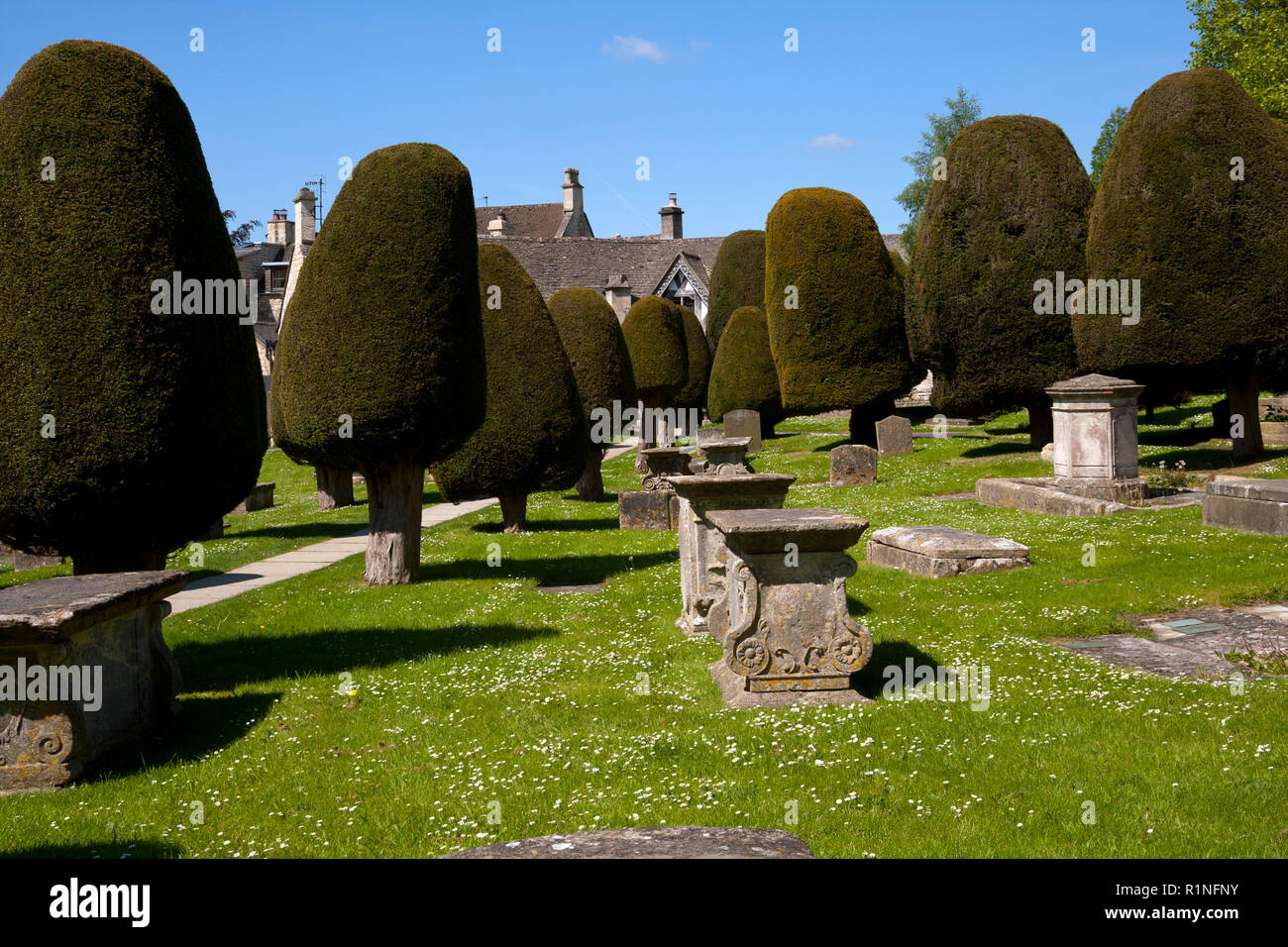 UK, Gloucestershire, Cotswolds Painswick, cimetière et son bien connu des ifs Banque D'Images