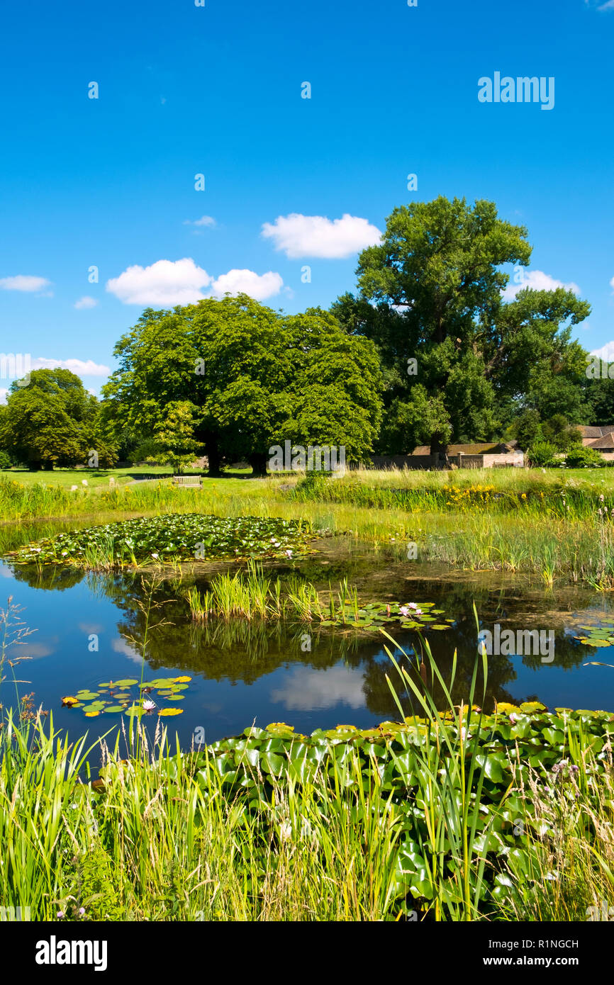 Soleil d'été sur le village pittoresque green et les étangs à Frampton sur Severn, Gloucestershire, Royaume-Uni. À environ 22 acres dans la taille il est dit être le plus ancien village green en Angleterre. Banque D'Images