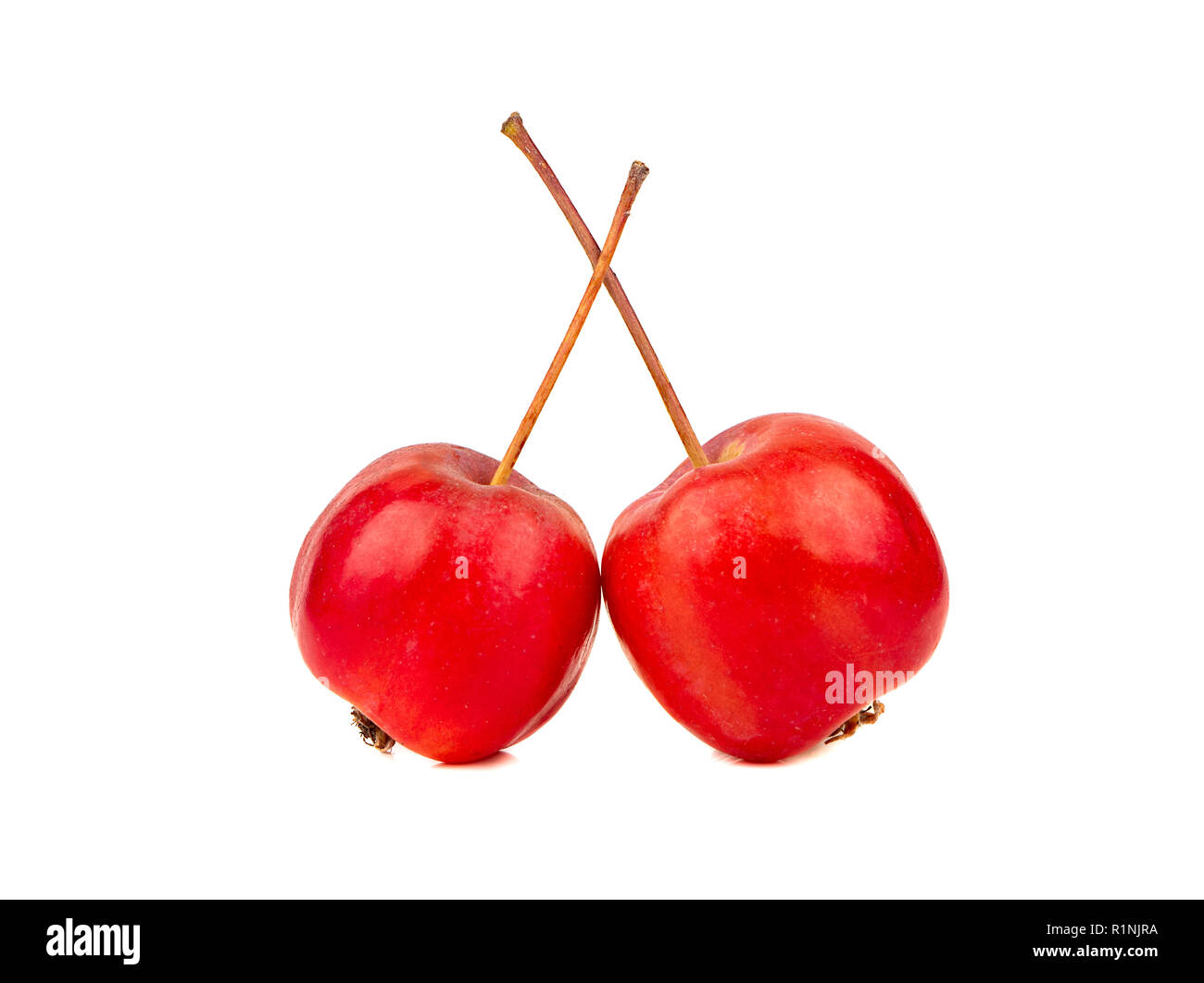 Deux pommes de paradis isolé sur fond blanc Banque D'Images