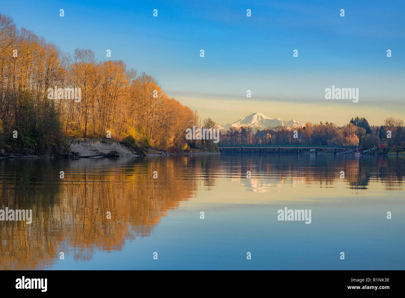 La rivière Fraser Island Brae et parc régional, à partir de Fort à Fort trail, Fort Langley, Colombie-Britannique, Canada Banque D'Images