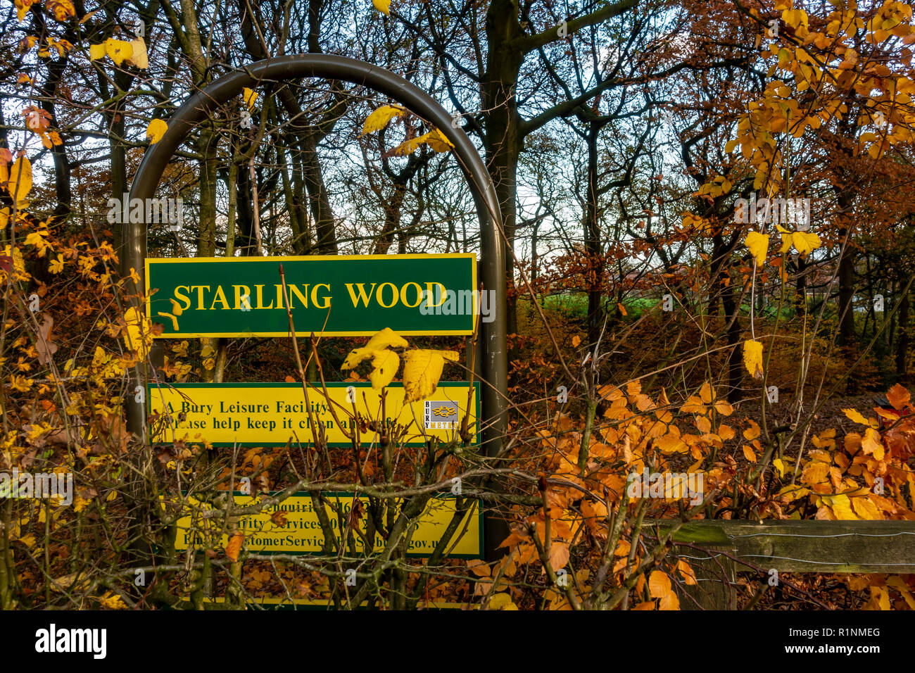 Entrée de bois dans la région de Ainsworth Bolton Starling Banque D'Images