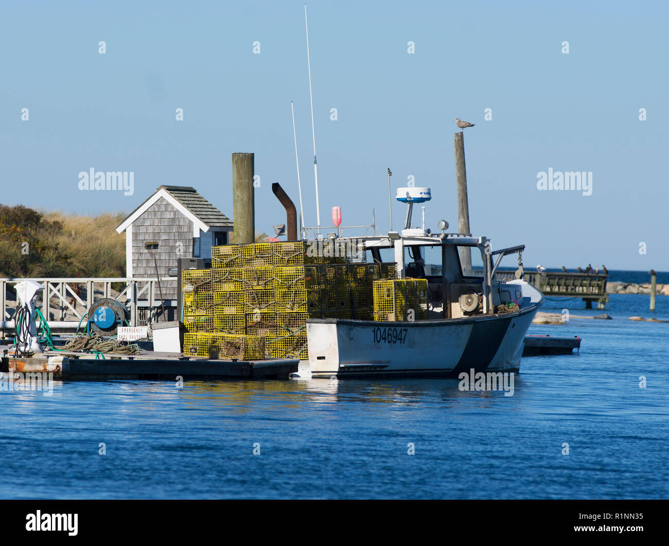 Un langoustier se prépare à décharger des pièges pour l'hiver. Sesuit Harbor, Dennis, Massachusetts, USA, à Cape Cod Banque D'Images