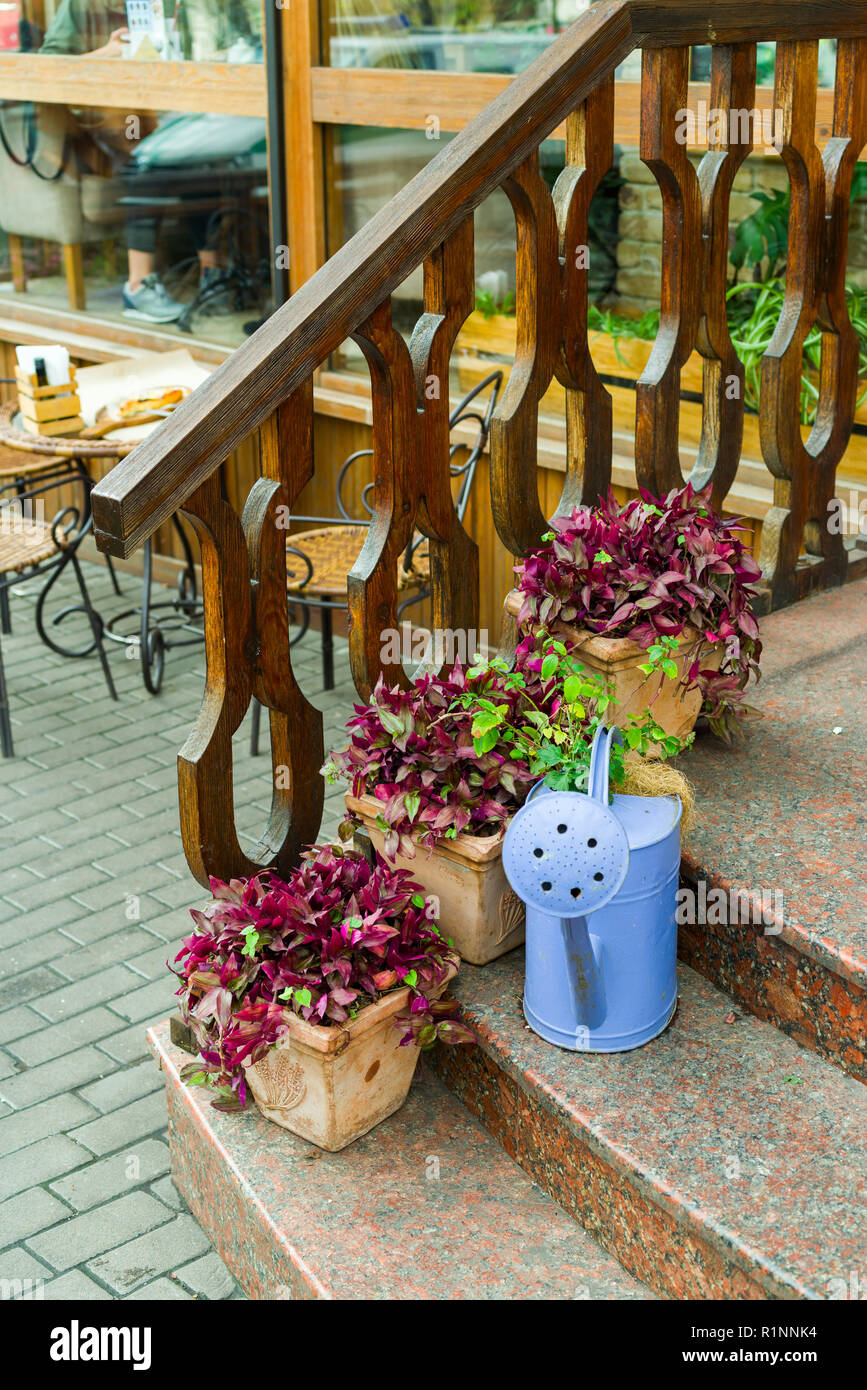 Les fleurs et les plantes en pots et bains à remous dans la conception Banque D'Images