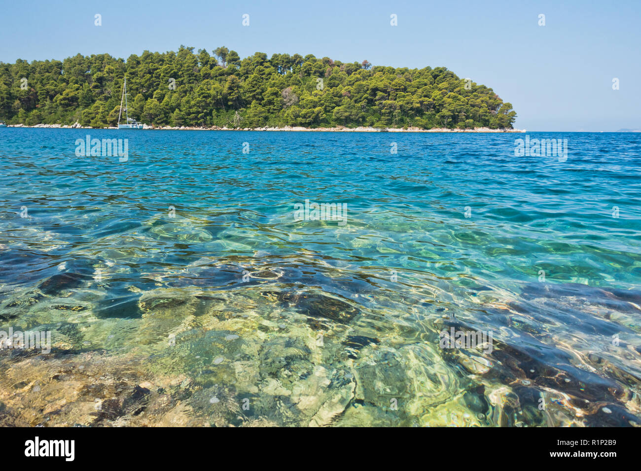 Les roches de la mer en dessous de la surface de l'eau turquoise cristalline au matin dans la baie de Panormos, île de Skopelos, Grèce Banque D'Images