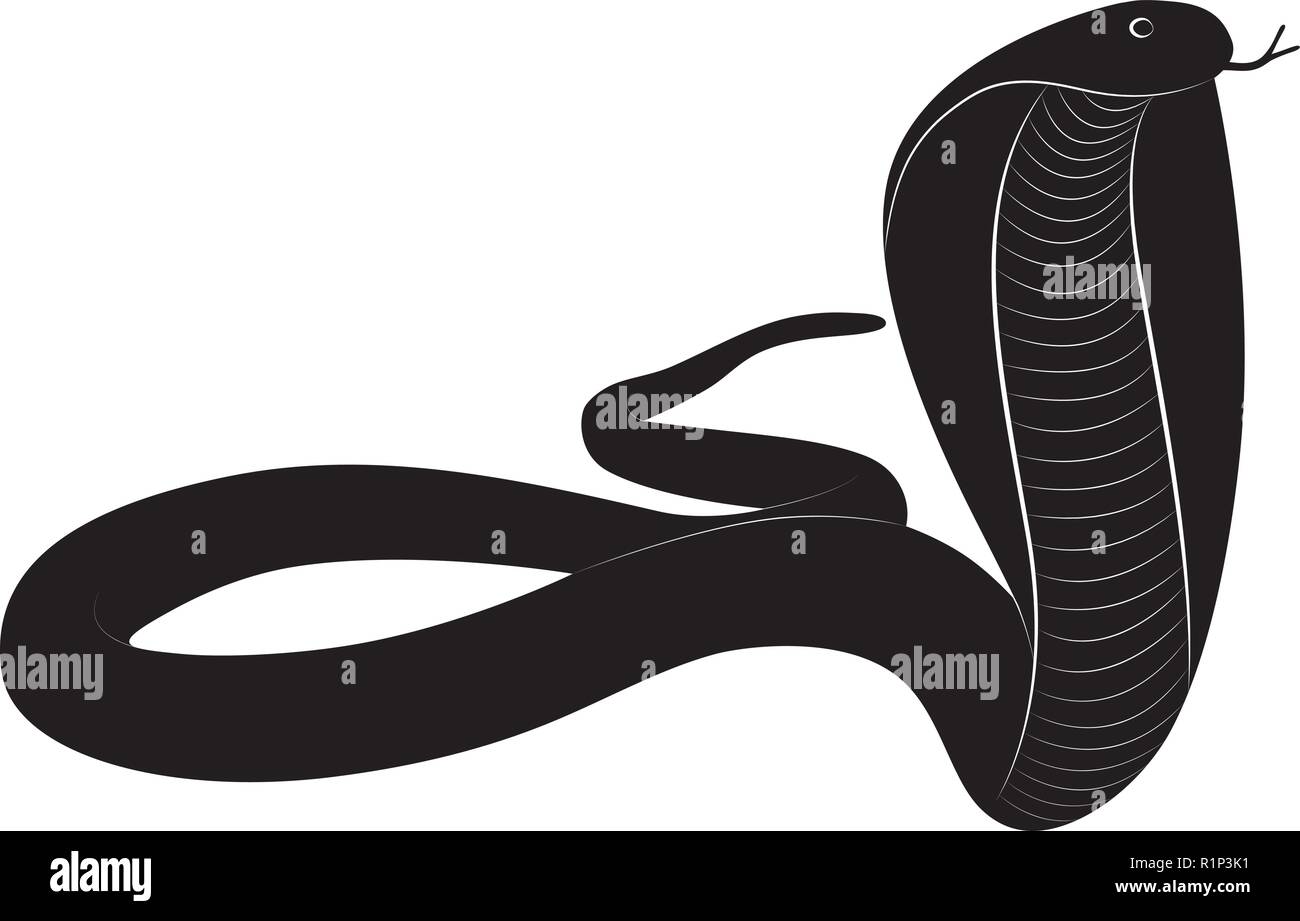 Vector illustration pour le prédateur effrayant le roi cobra snake en noir et blanc Illustration de Vecteur