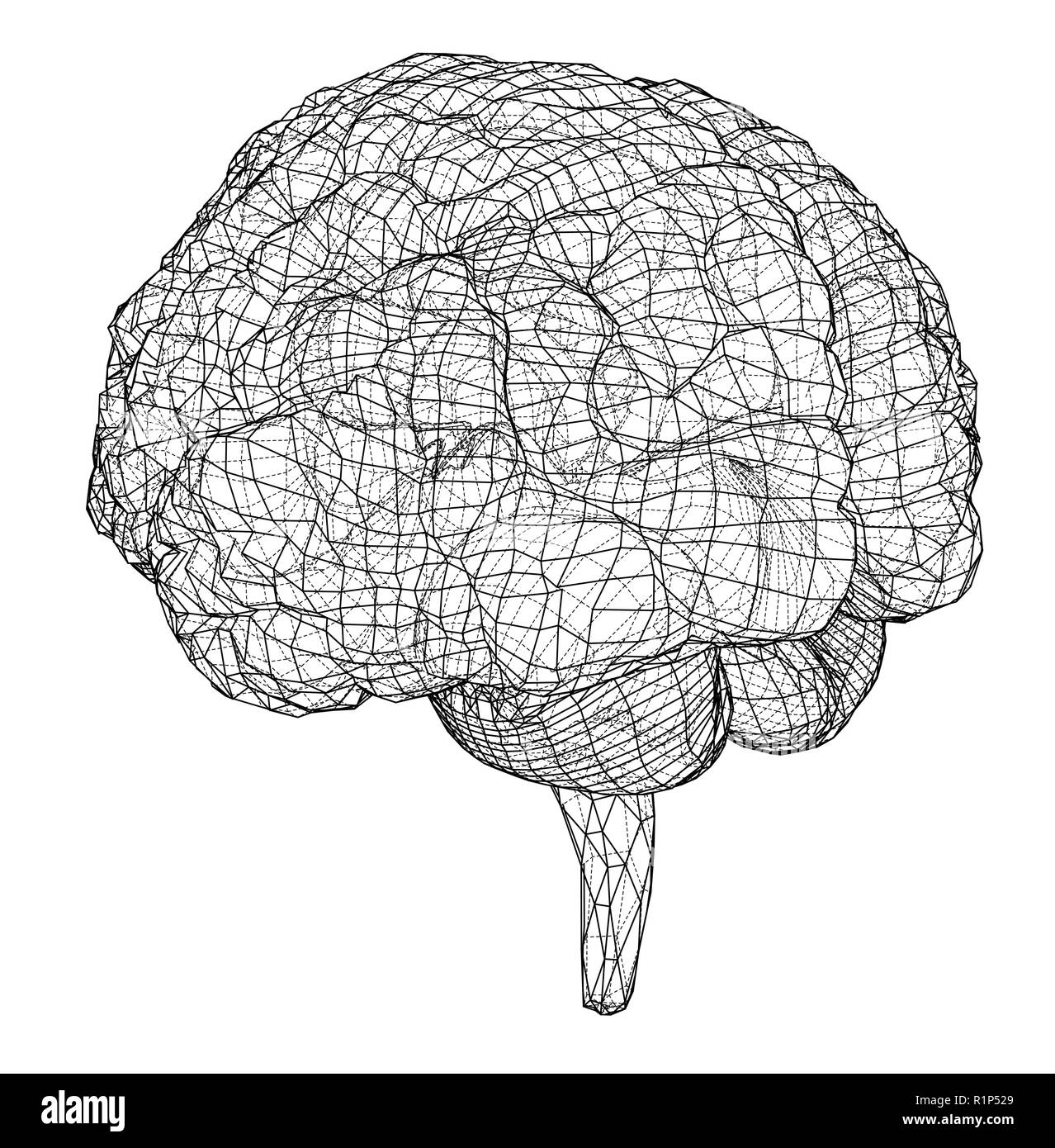 Contour 3D du cerveau. Le rendu 3D de vecteur Illustration de Vecteur