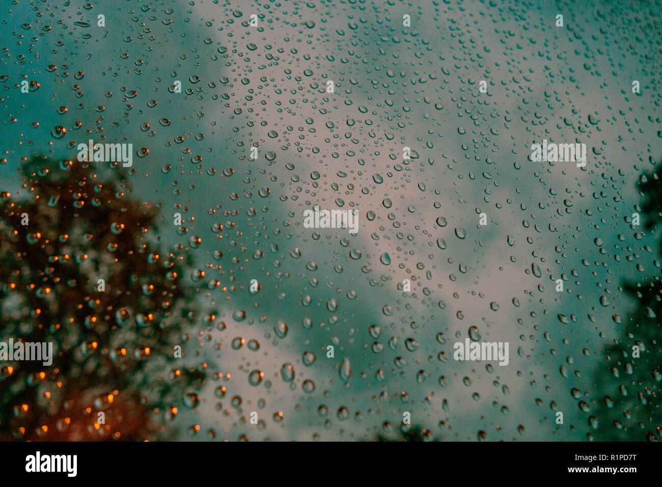 Gros plan très photographie de gouttes de pluie sur la fenêtre en verre de couleur verte avec ciel dans l'arrière-plan Banque D'Images
