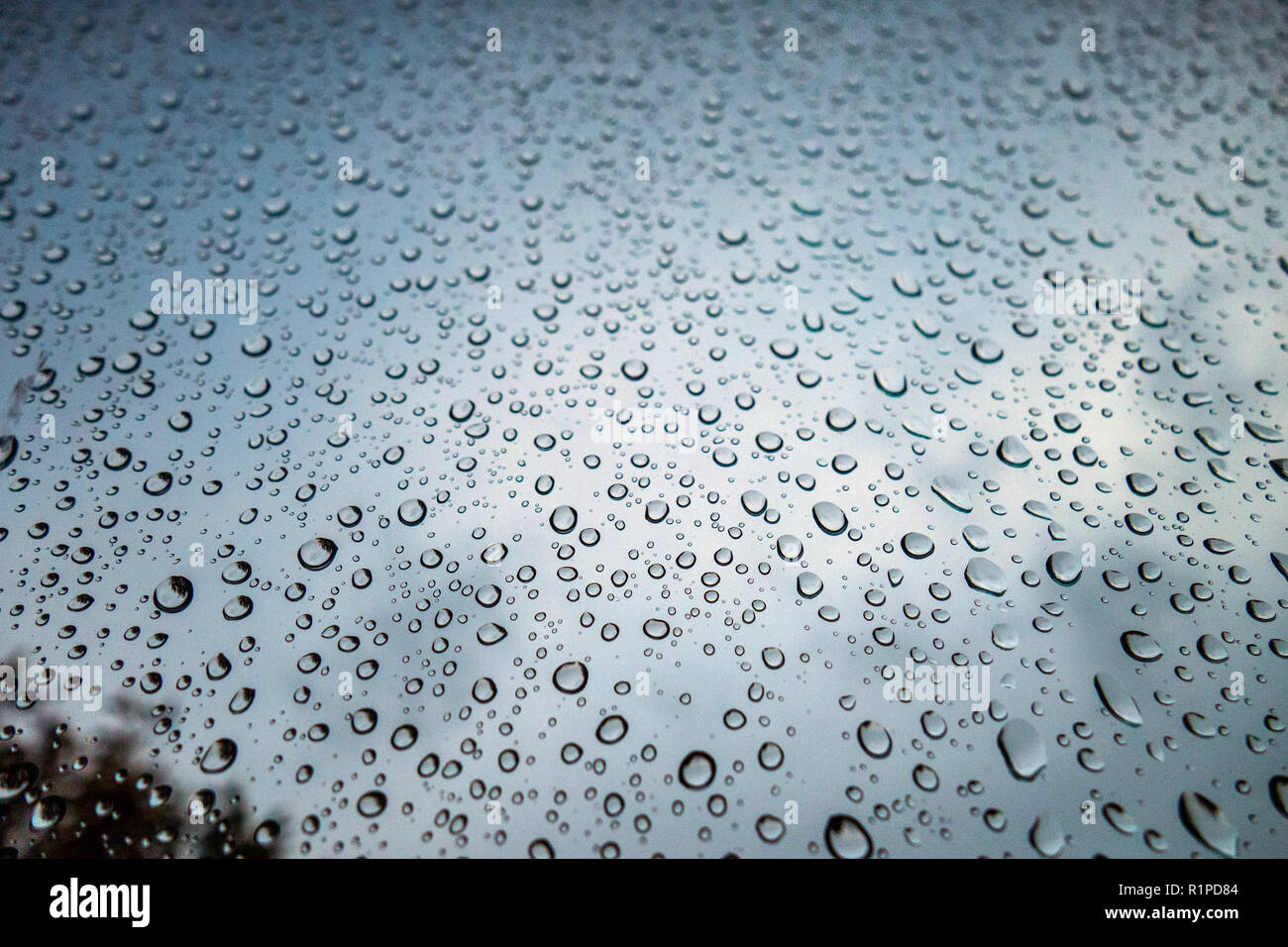 Gouttes de pluie sur fenêtre contre ciel sombre sombre Banque D'Images
