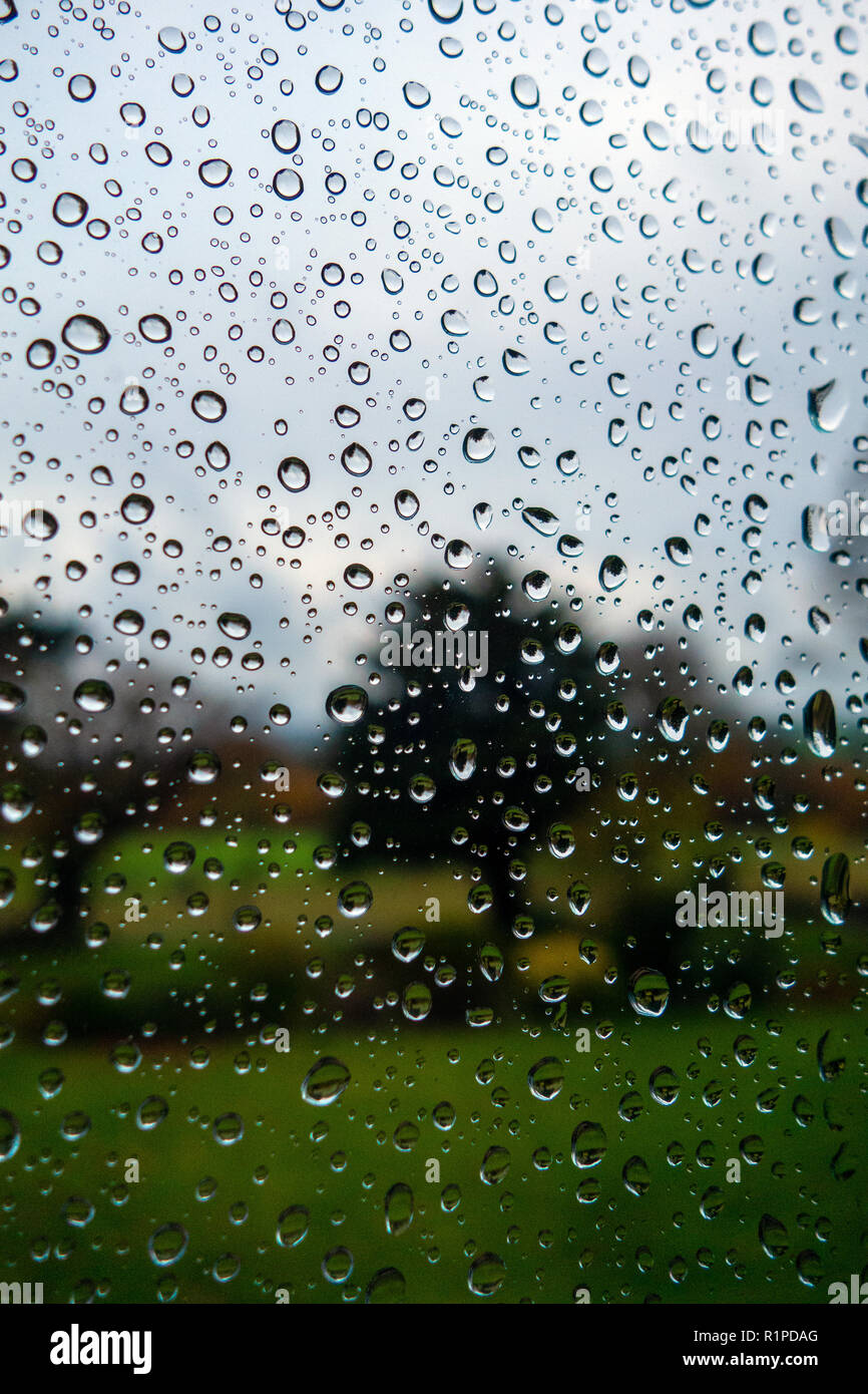 Gouttes de pluie sur la fenêtre de verre contre jardin scène avec ciel lumineux, arbres et pelouse au-delà Banque D'Images