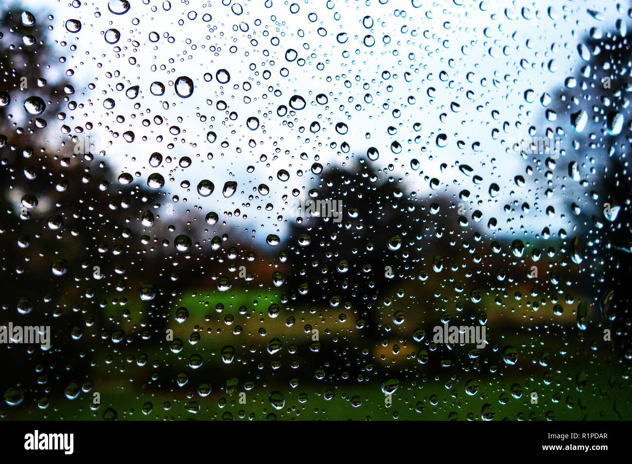 Gouttes de pluie sur la fenêtre de verre contre jardin scène avec ciel lumineux, arbres et pelouse au-delà Banque D'Images
