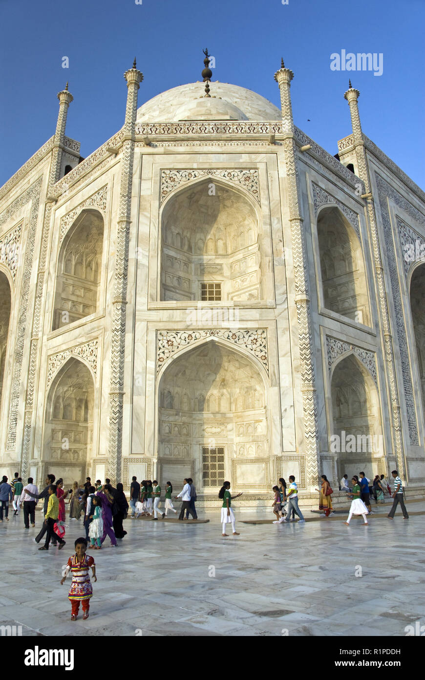 Ornate pietra dura (marqueterie de marbre) décore le Taj Mahal, le mausolée de marbre blanc construit par l'empereur Moghol Shah Jahan à Agra, Inde Banque D'Images