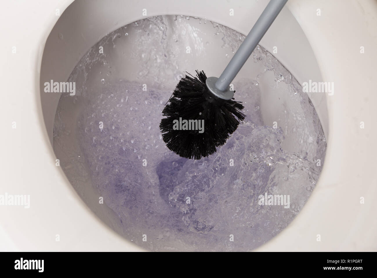Cuvette en porcelaine de mousse violette en cours de nettoyage avec pinceau noir pendant le rinçage Banque D'Images