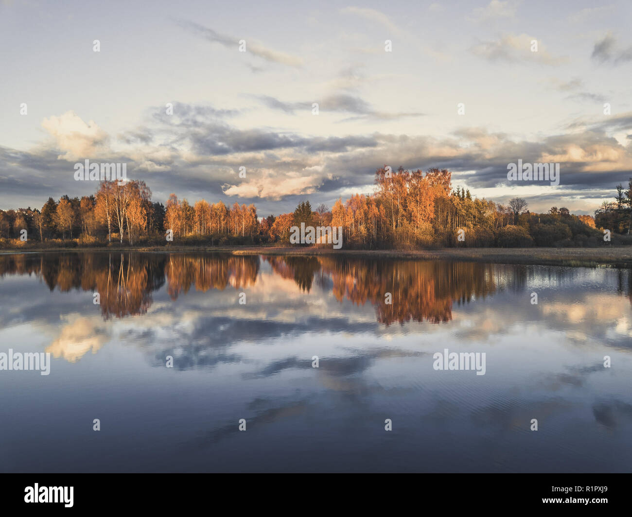 Beau reflet de la nature dans l'eau dans la journée ensoleillée d'automne - look vintage modifier Banque D'Images
